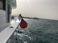 Fahrt zu den Delfinen